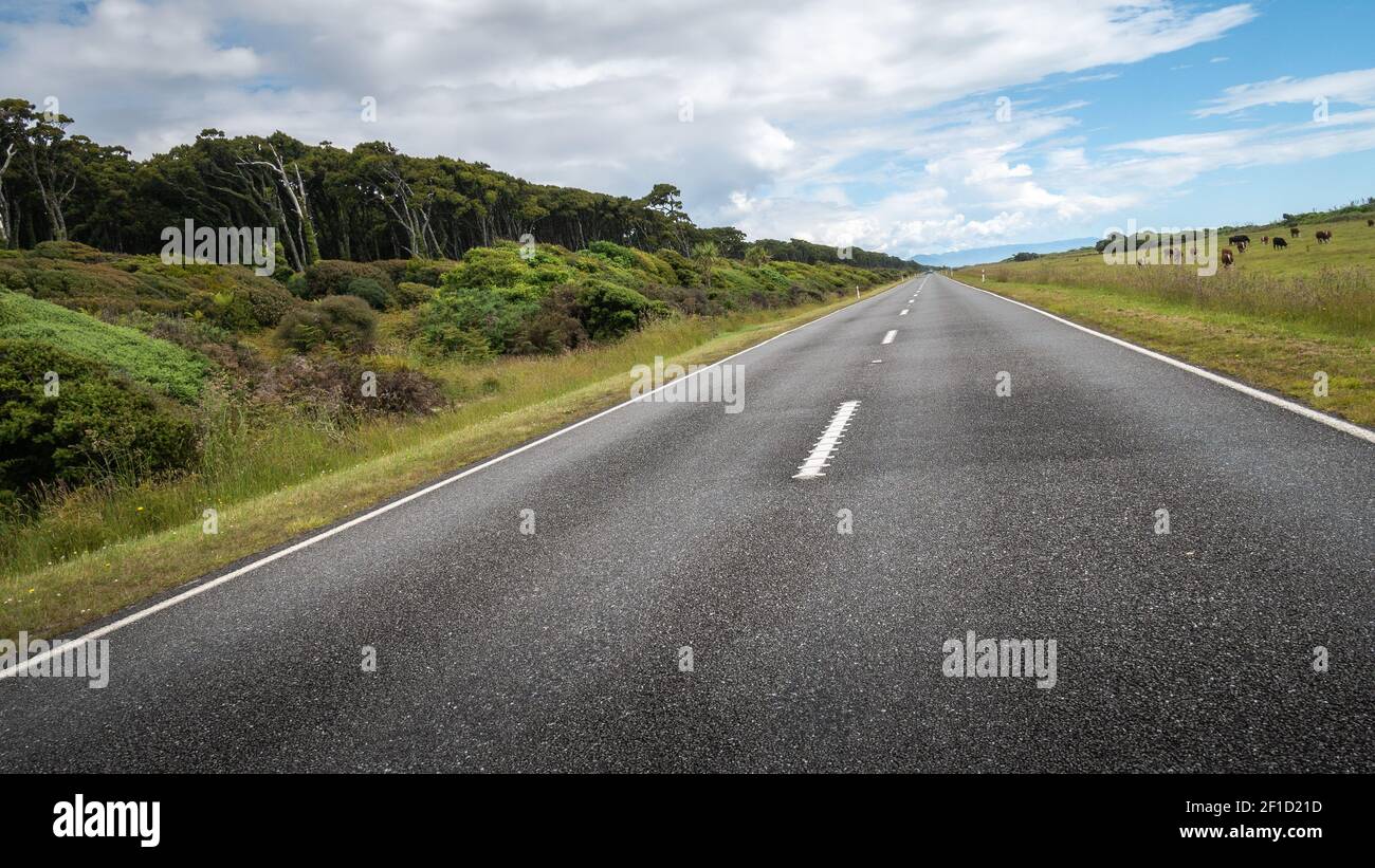 Carretera que conduce a la distancia (inclinada). Tiro hecho durante el día soleado en la región de la costa oeste de Nueva Zelanda Foto de stock