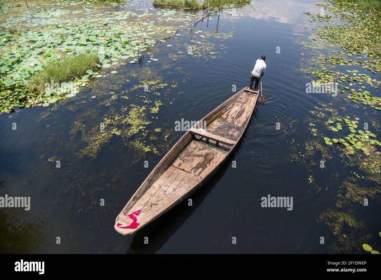 Un boatman cachemirí enfila su barco en el lago Dal durante un caluroso día de verano en Srinagar. (Foto de Irnes Abbas / SOPA Images/Sipa USA) Foto de stock