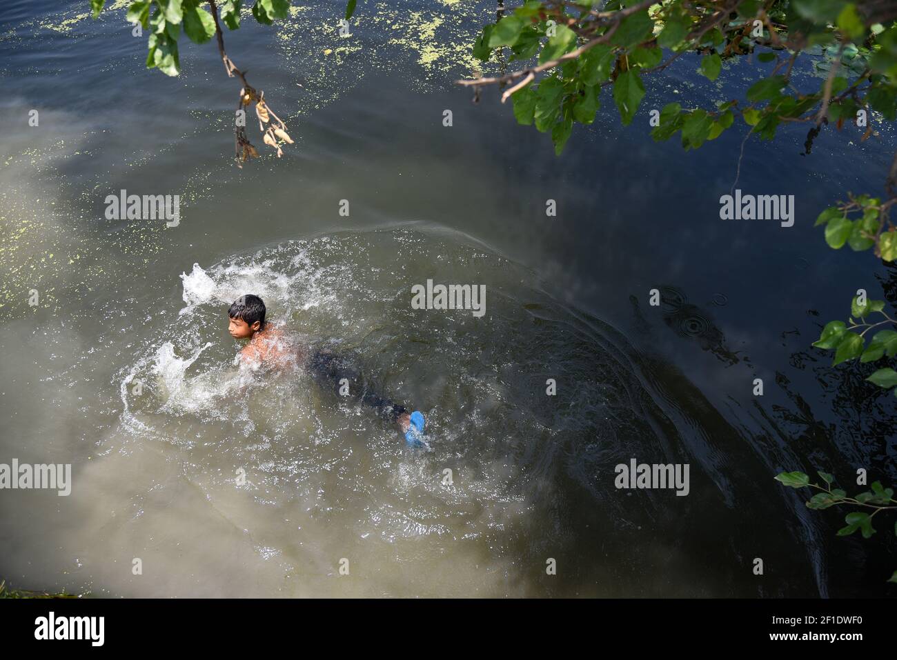 Un niño nadaba en el lago Dal durante un caluroso día de verano en Srinagar. (Foto de Irnes Abbas / SOPA Images/Sipa USA) Foto de stock