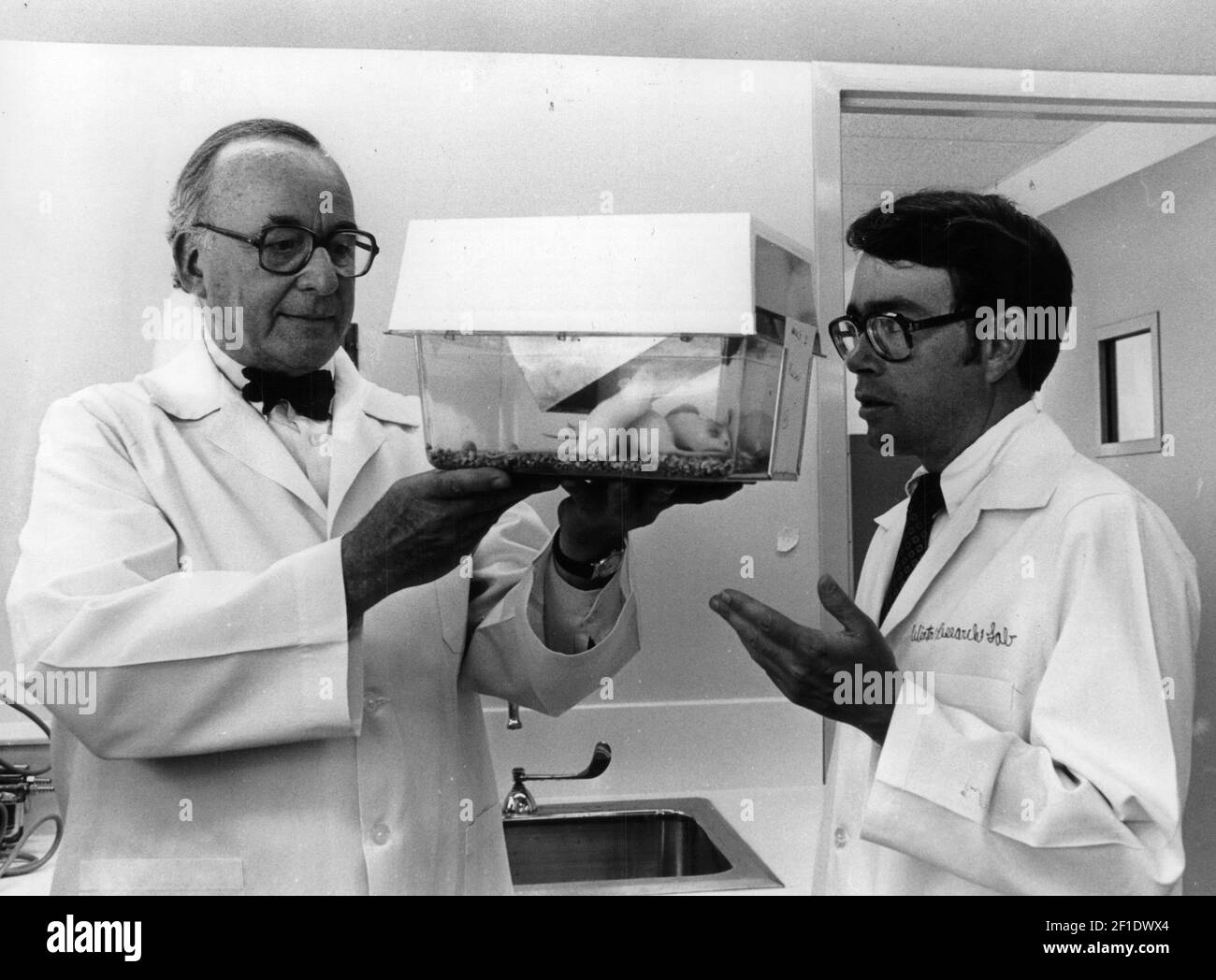 18 de julio de 1980; Milwaukee, WI, EE.UU.; Un abrigo de laboratorio era el uniforme para Frederick P. Stratton Jr. (Derecha), presidente de Briggs & Stratton Corp., mientras él confirió con Mortimer M. Bortin, un médico que dirige el Laboratorio de Investigación de Invierno del Centro médico Mount Sinai. Stratton anunció que Briggs & Stratton apoyará un simposio internacional sobre el cáncer organizado por Bortin. El evento de 1980 se llevará a cabo el 8-11 de octubre en Wingspread, el centro de conferencias de la Fundación Johnson en Racine. Stratton dijo que la subvención de su corporación de $35.000 cubrirá los gastos de viaje de los participantes, pu Foto de stock