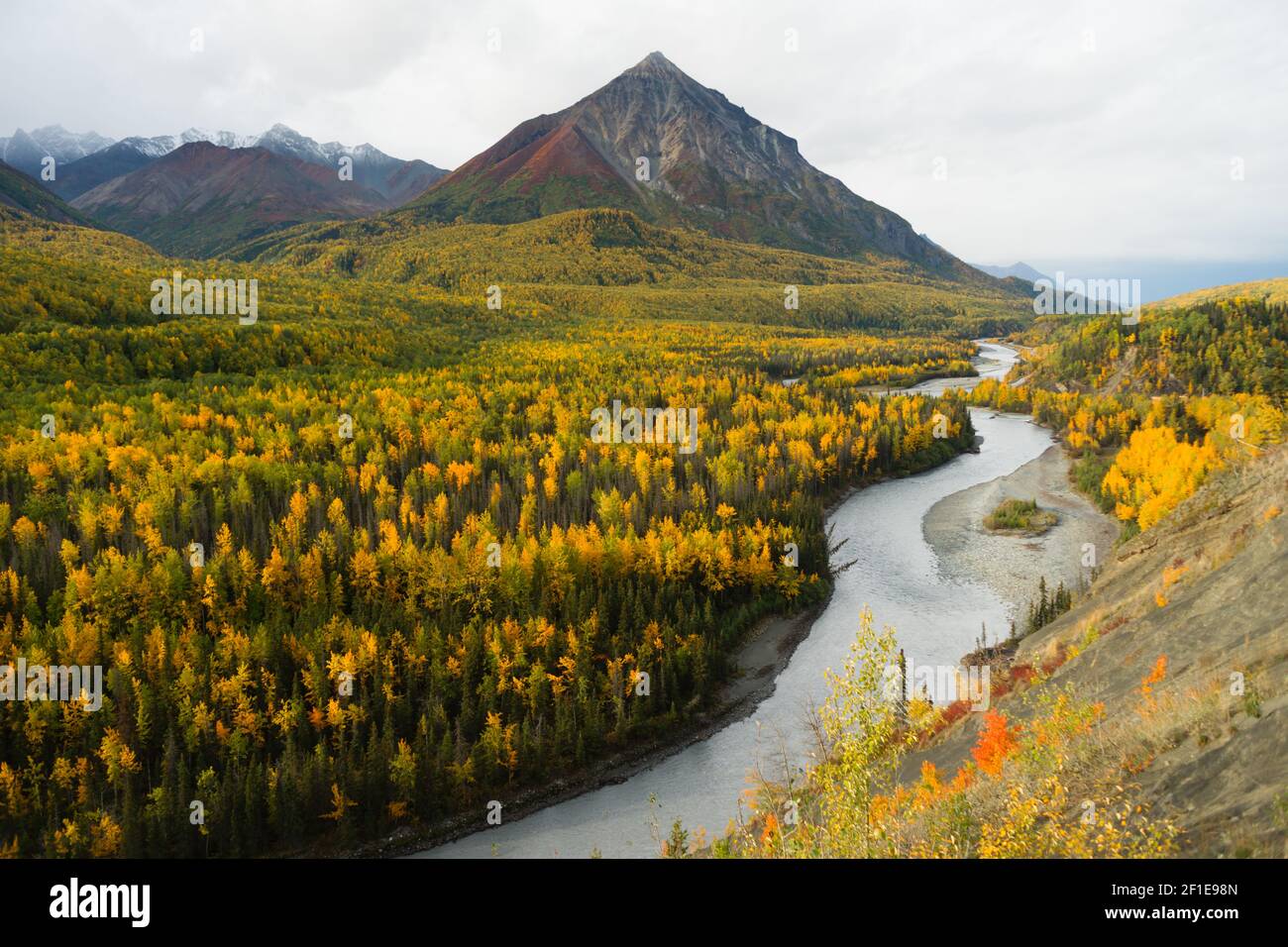 Río Matanuska fluye Temporada de Otoño Color de Otoño Alaska Foto de stock