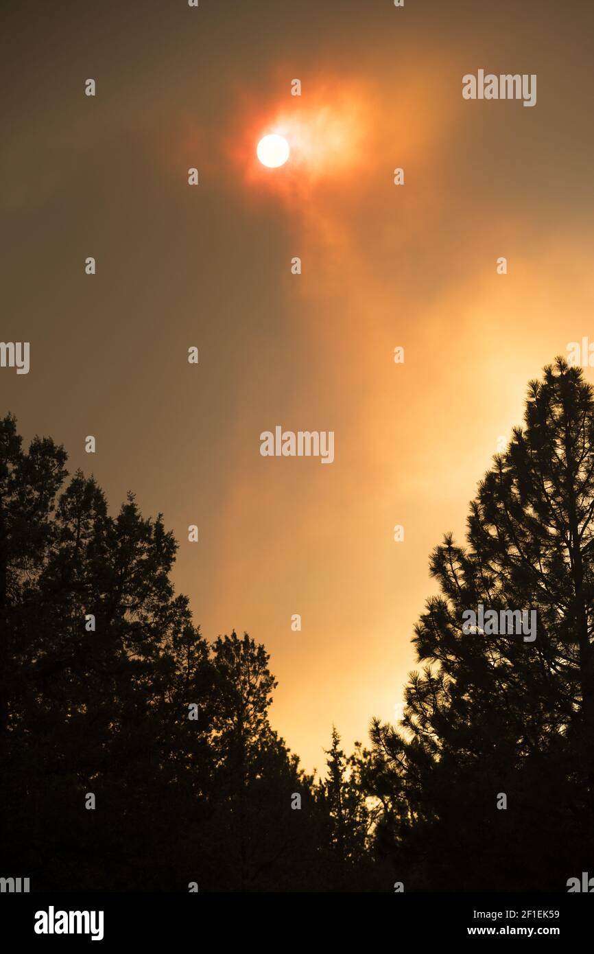Sol a través de Wildfire Smoke Sisters Oregon 2017 Foto de stock