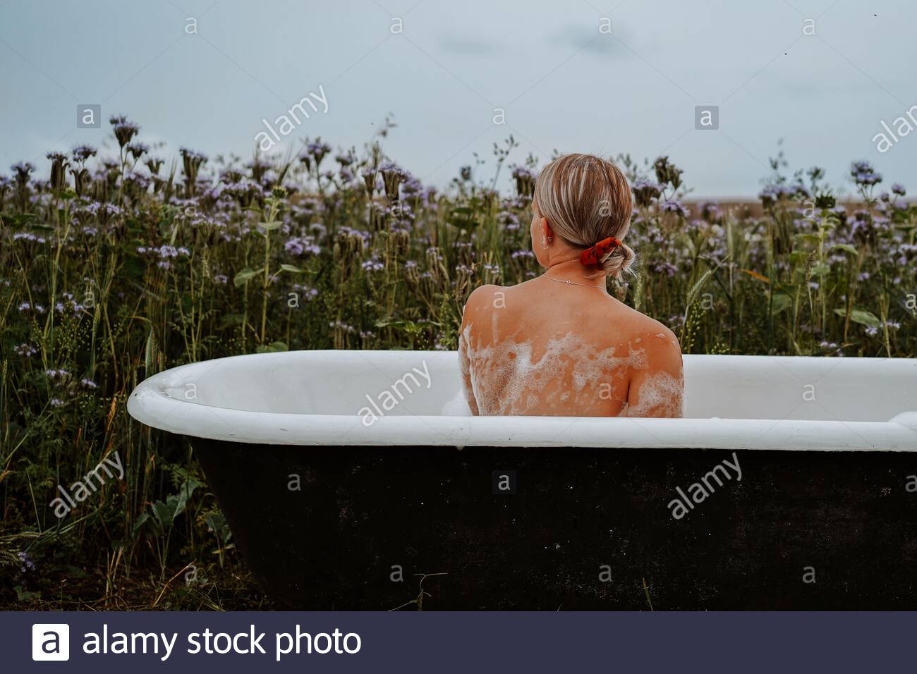 o Foto de stock