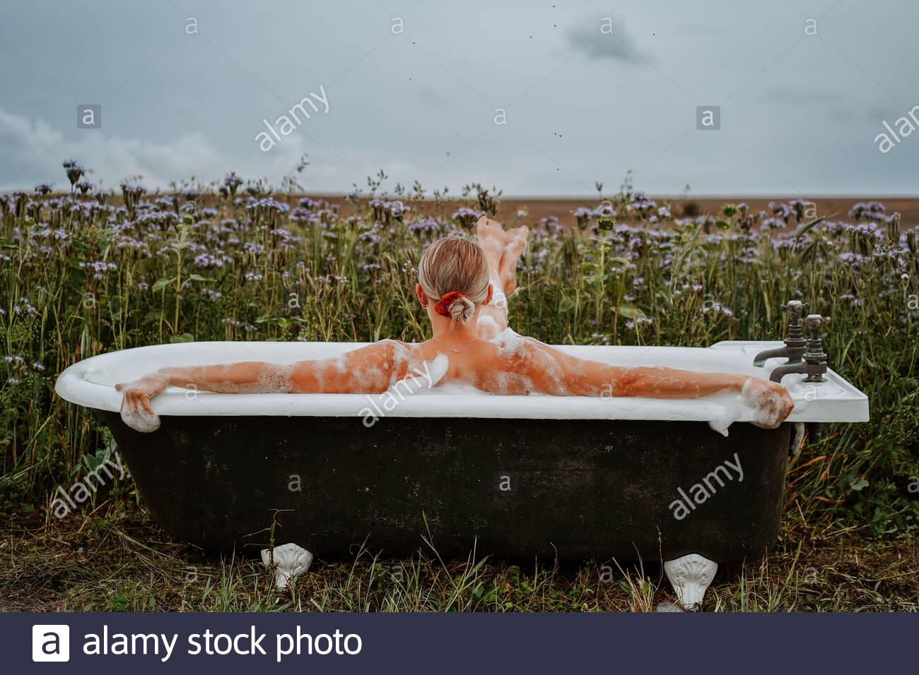 o Foto de stock