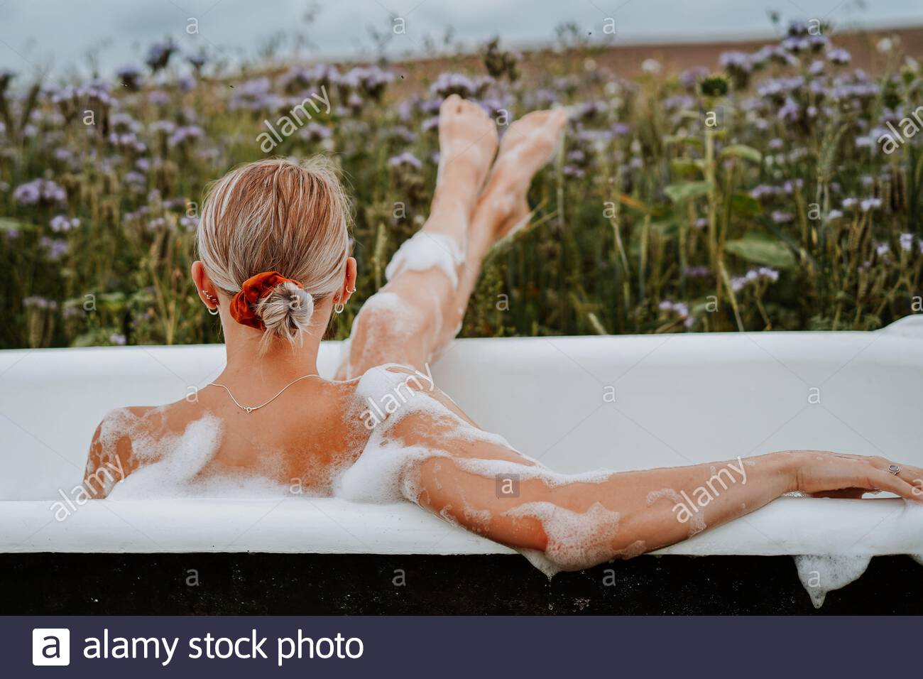 o Foto de stock