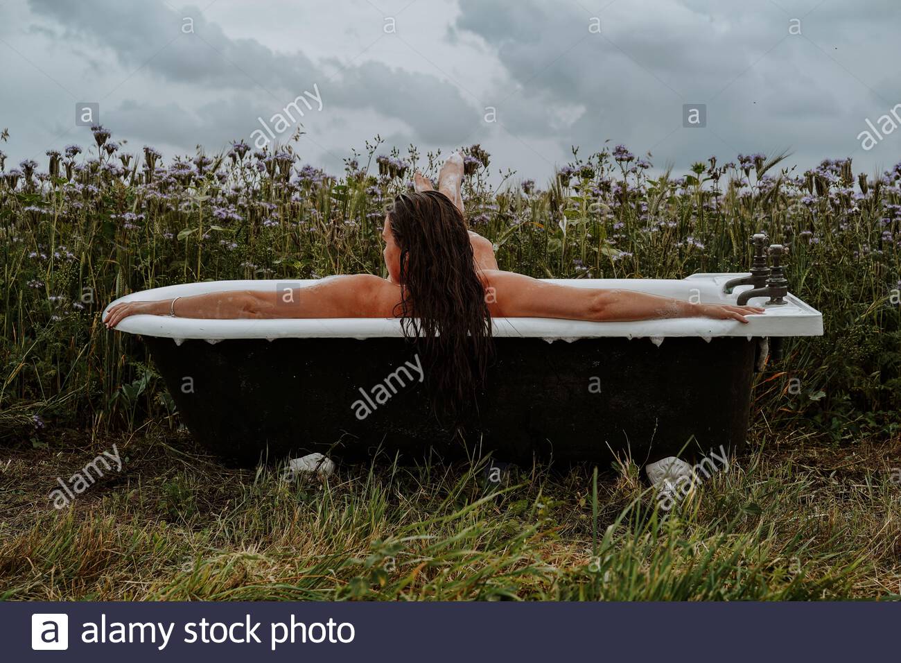 o Foto de stock