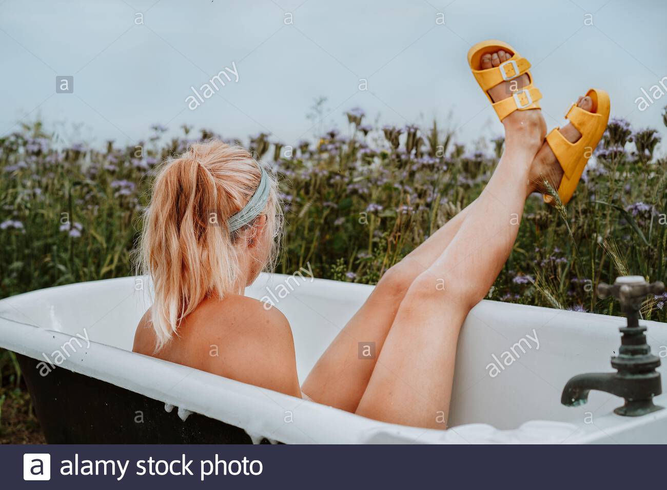 o Foto de stock