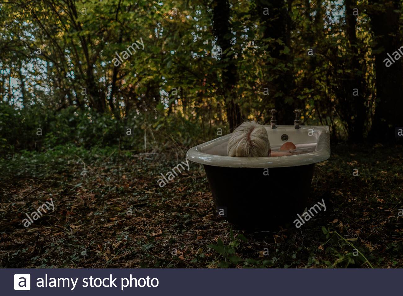 o Foto de stock