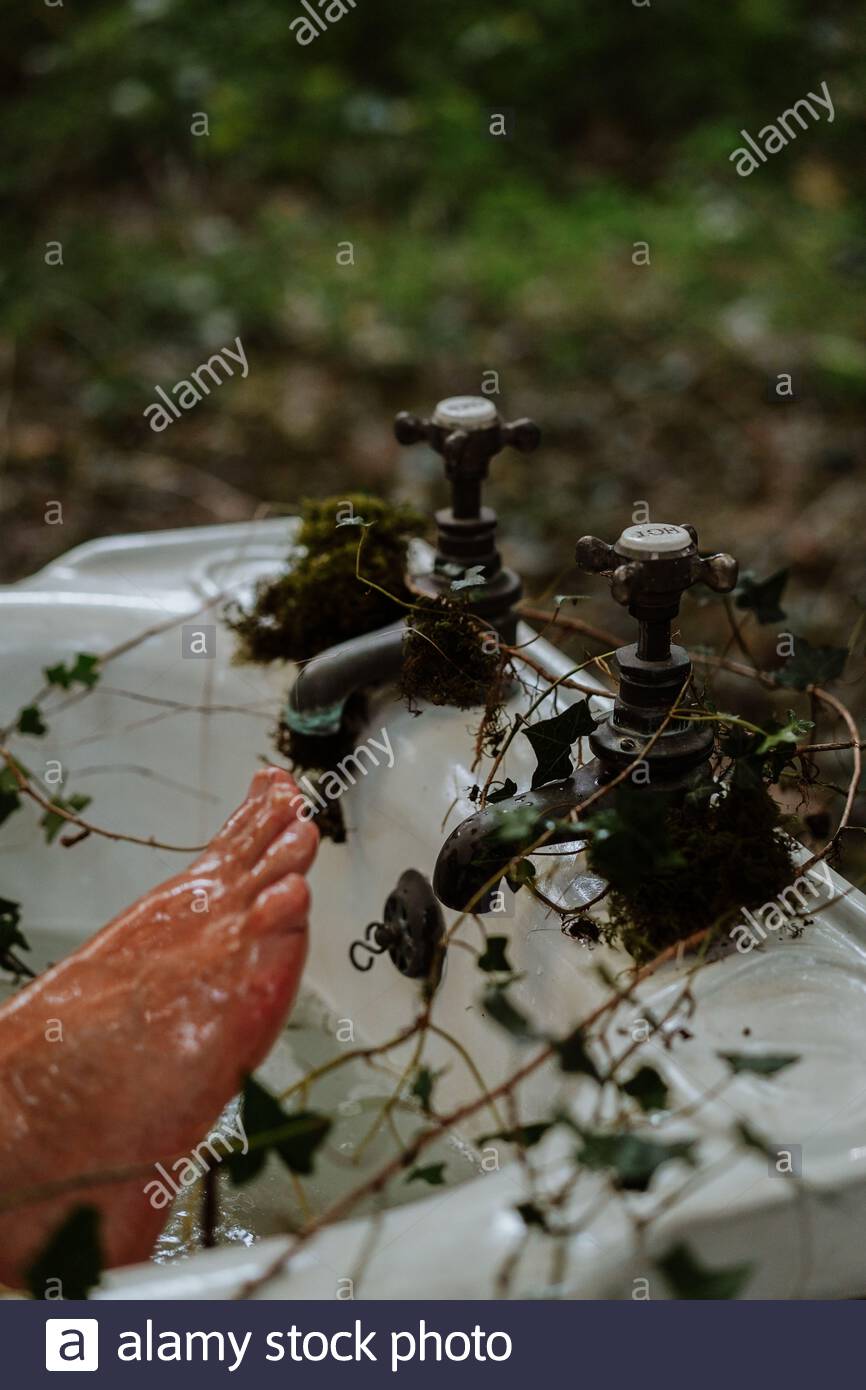 o Foto de stock