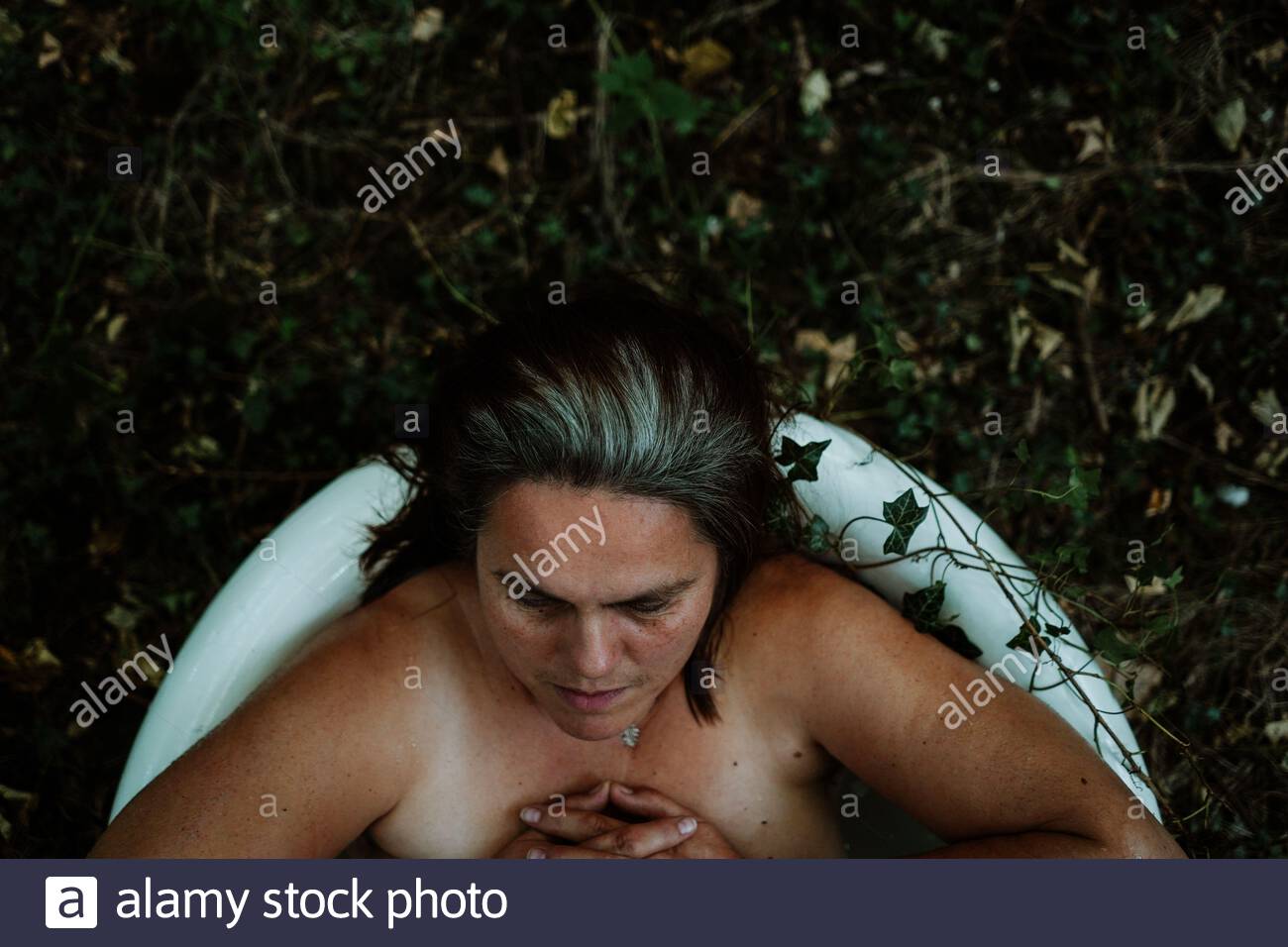 o Foto de stock