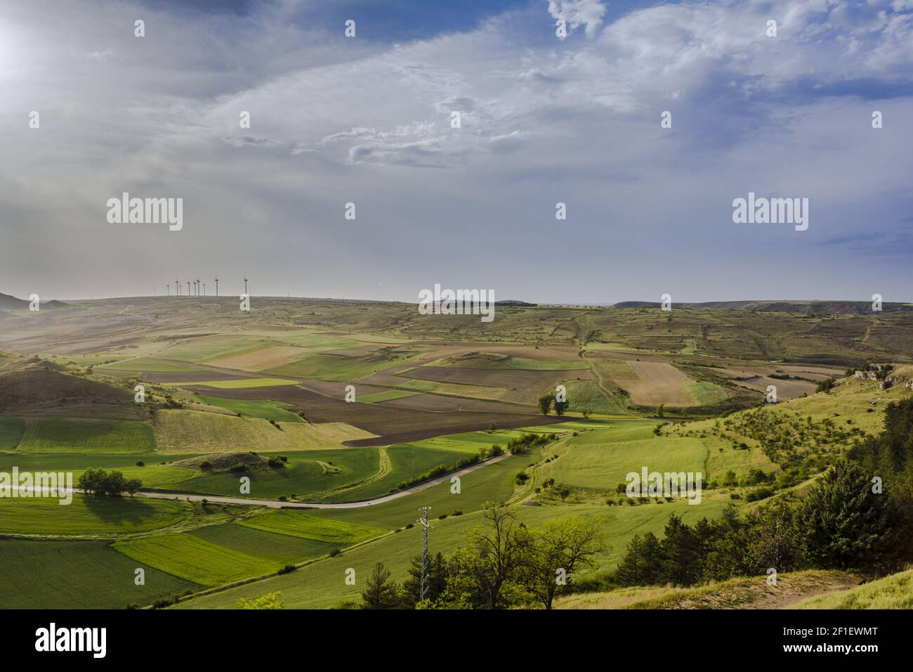 Campo de hierba verde paisaje con fantásticas nubes en el fondo Foto de stock