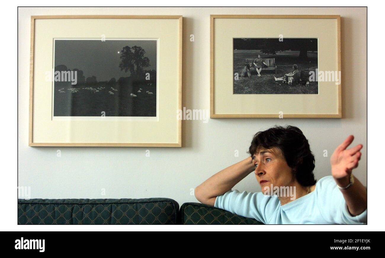 Estelle Morris con su colección de arte en su oficina pic David Sandison 18.9.2003 Foto de stock