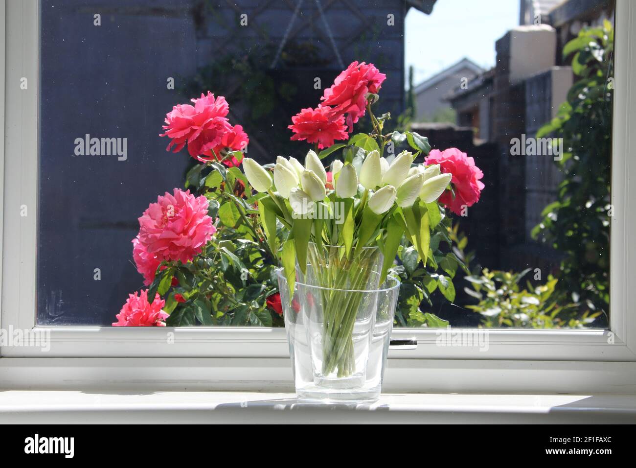 Tulipanes artificiales en vidrio en borde de ventana de una ventana de  cocina, flor real en el fondo Fotografía de stock - Alamy
