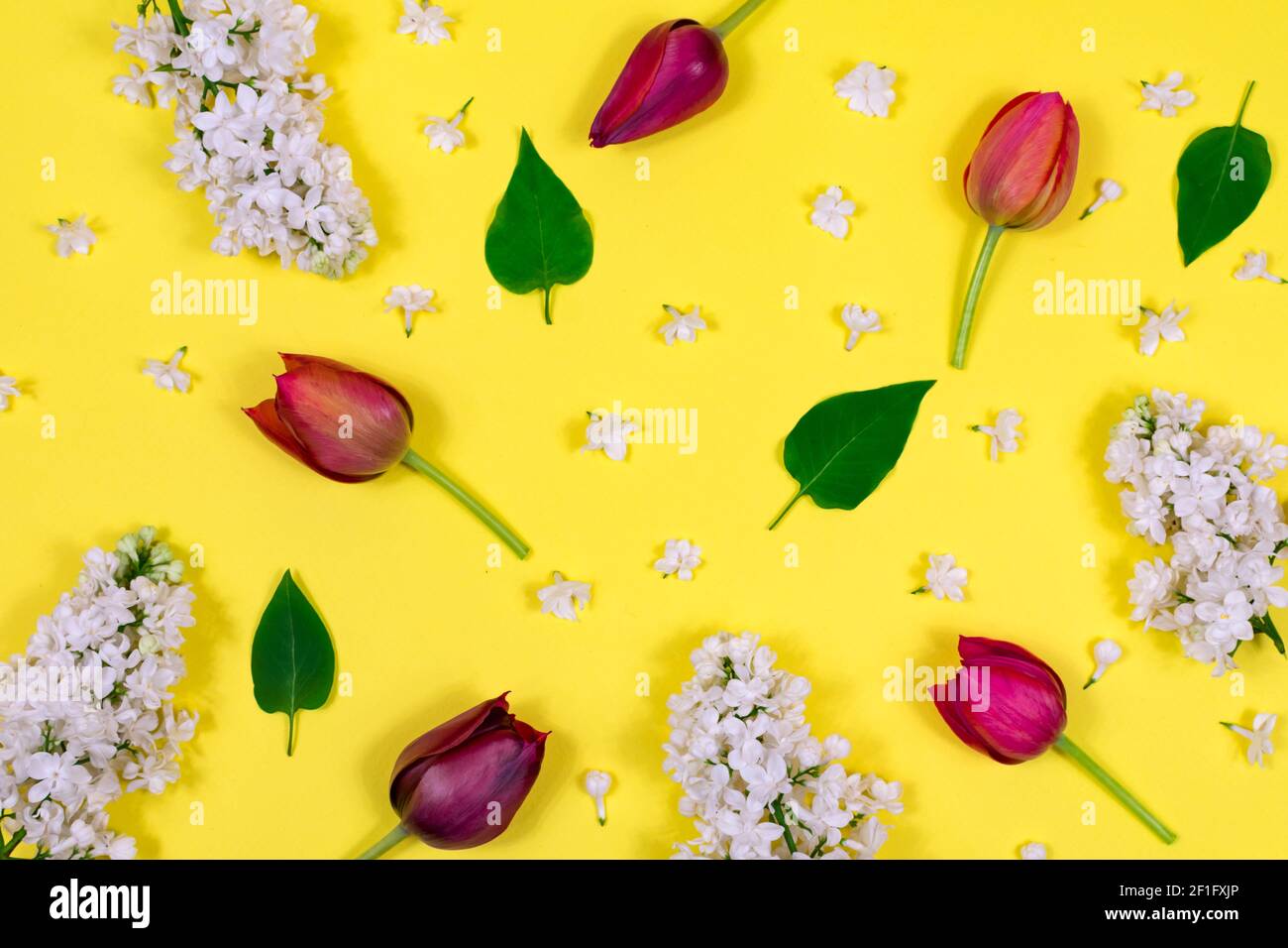 Tulipanes rojos, lila blanca y hojas verdes sobre fondo amarillo. Vista desde arriba. En blanco para una postal. Día de la Madre, día de San Valentín, cumpleaños Foto de stock