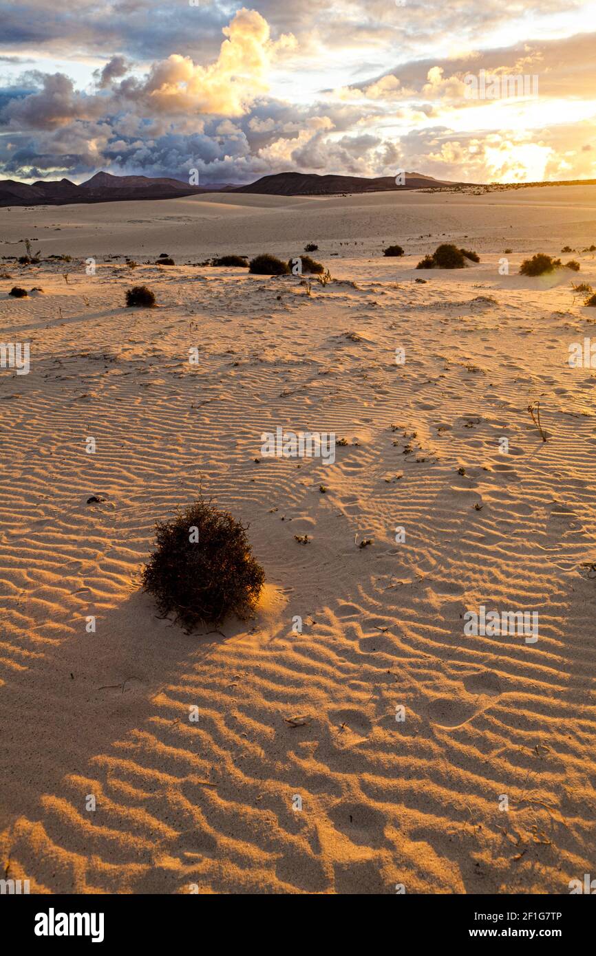 La puesta de sol sobre las dunas de Corralejo (Parque Natural de las Dunas), Fuerteventura, Islas Canarias Foto de stock