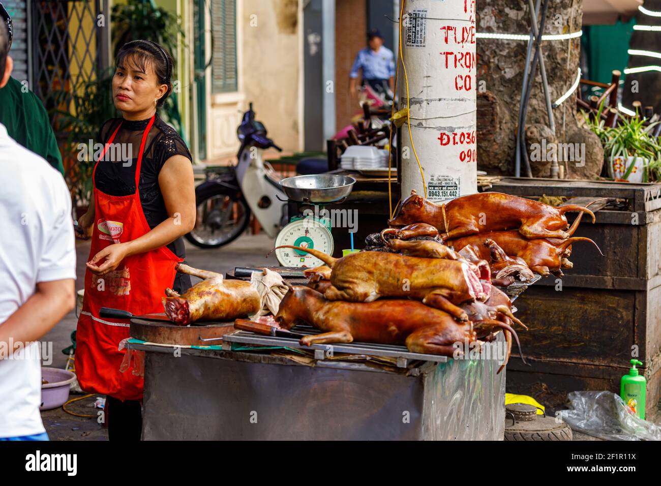 Carne de perro en la parrilla en las calles de Hanoi En Vietnam Fotografía  de stock - Alamy