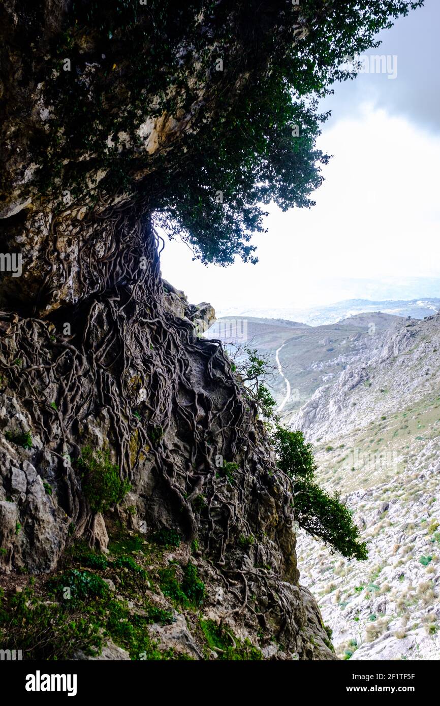 Cueva Orea en la montaña sobre el paso de Zafarraya, Andalucía, España, Europa Foto de stock