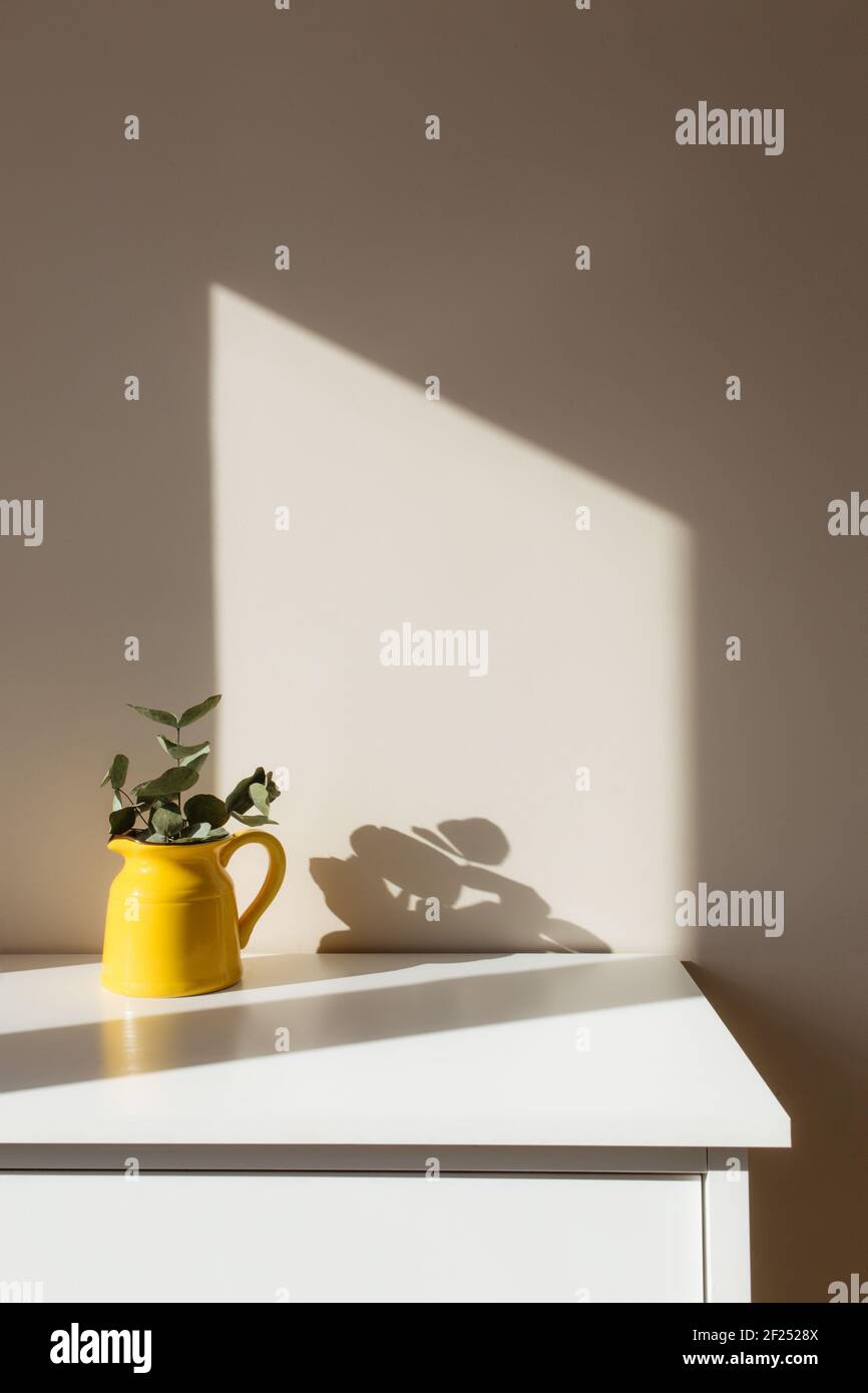 Una jarra o jarrón amarillo de cerámica con ramas de eucalipto, marcos blancos vacíos en la mesa blanca en el interior con paredes beige cerca de la ventana. Foto de stock