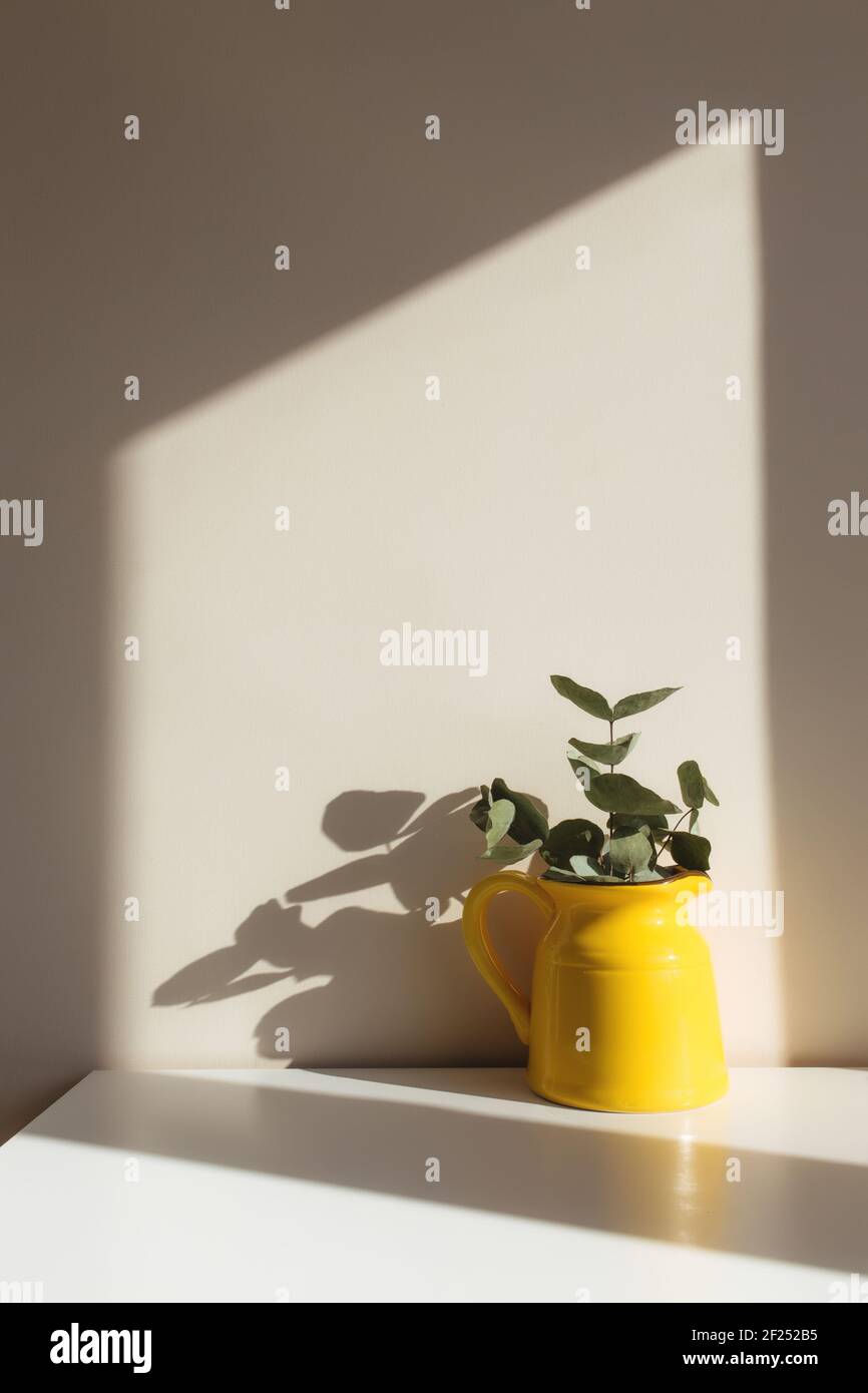 Una jarra o jarrón amarillo de cerámica con ramas de eucalipto, marcos blancos vacíos en la mesa blanca en el interior con paredes beige cerca de la ventana. Foto de stock