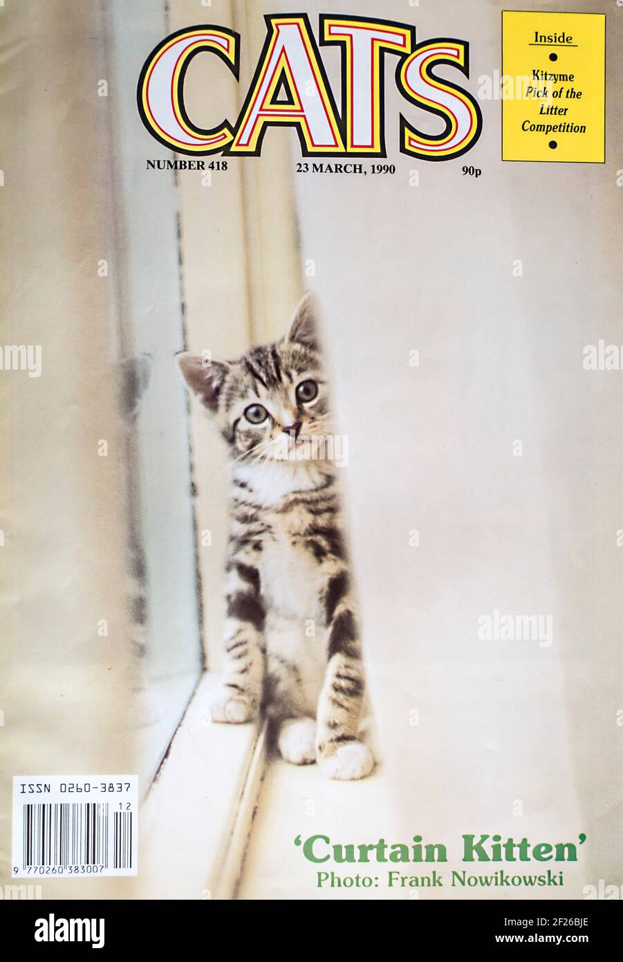 Gatito en la portada de la revista Foto de stock
