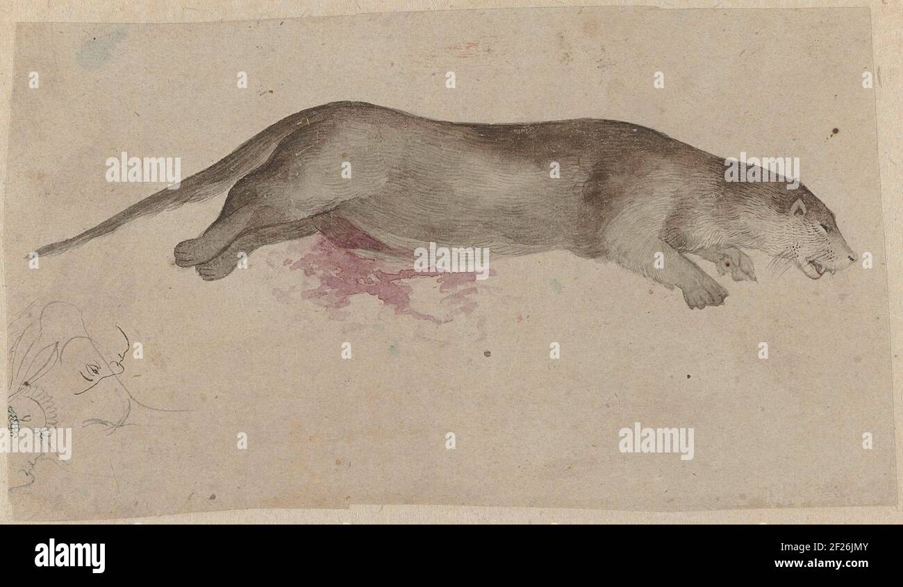 Gedood knaagdier.UN roedor muerto se estira en un charco de sangre que ha salido de su vida más baja; en la parte inferior izquierda hay dos bocetos de caras en el perfil, un lápiz y una en la pluma. Foto de stock