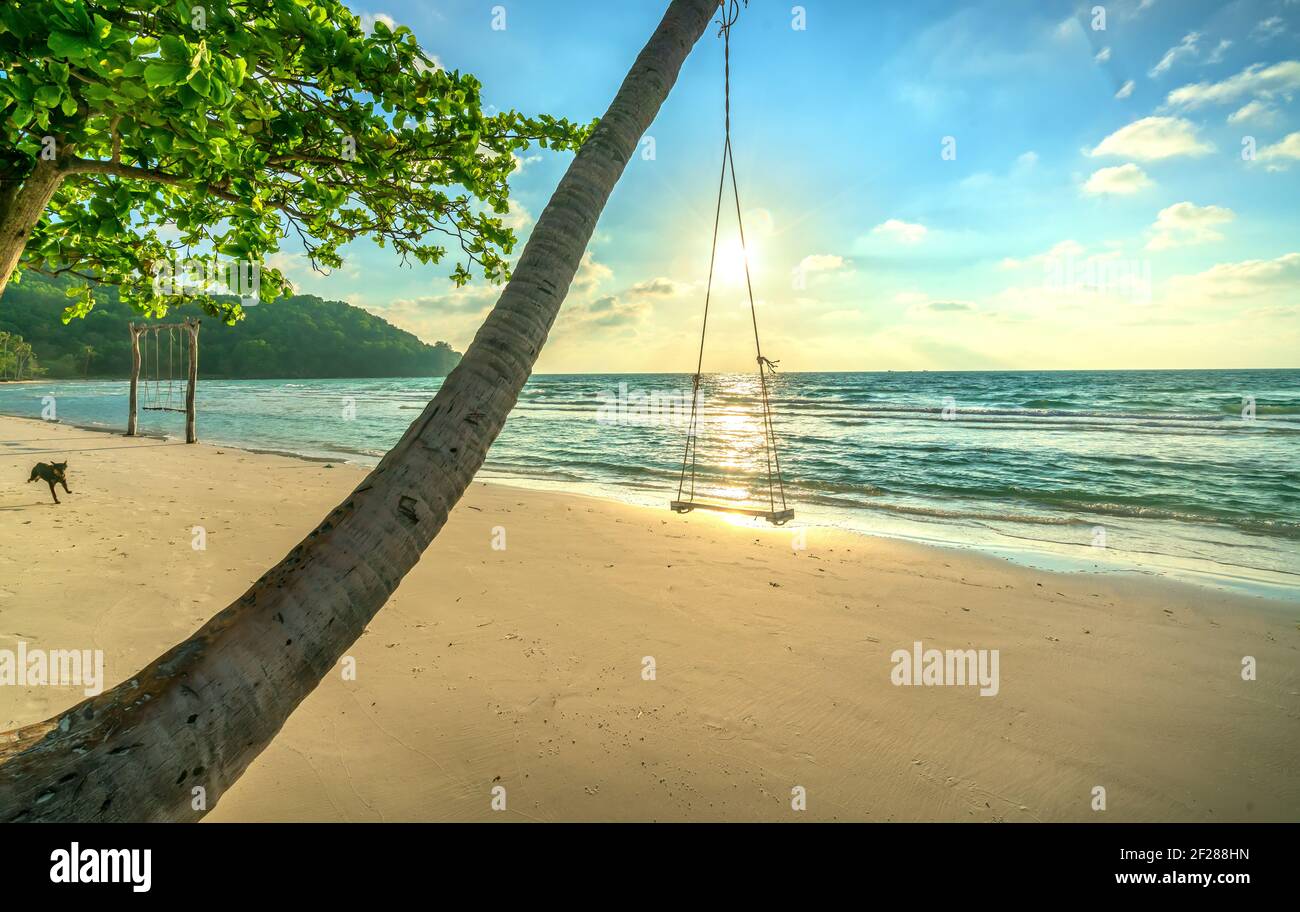 Sol swing junto a una palmera en la idílica playa de Sao en la isla Phu Quoc, Vietnam. Sao beach es una de las mejores playas de Vietnam. Foto de stock