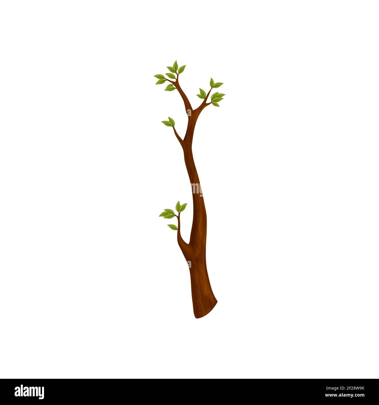Rama de árbol con hojas verdes aislado miembro estilizado de la temporada  de primavera. Vector palo natural con hoja de follaje, símbolo de  crecimiento, plano dibujos animados arbusto ele Imagen Vector de
