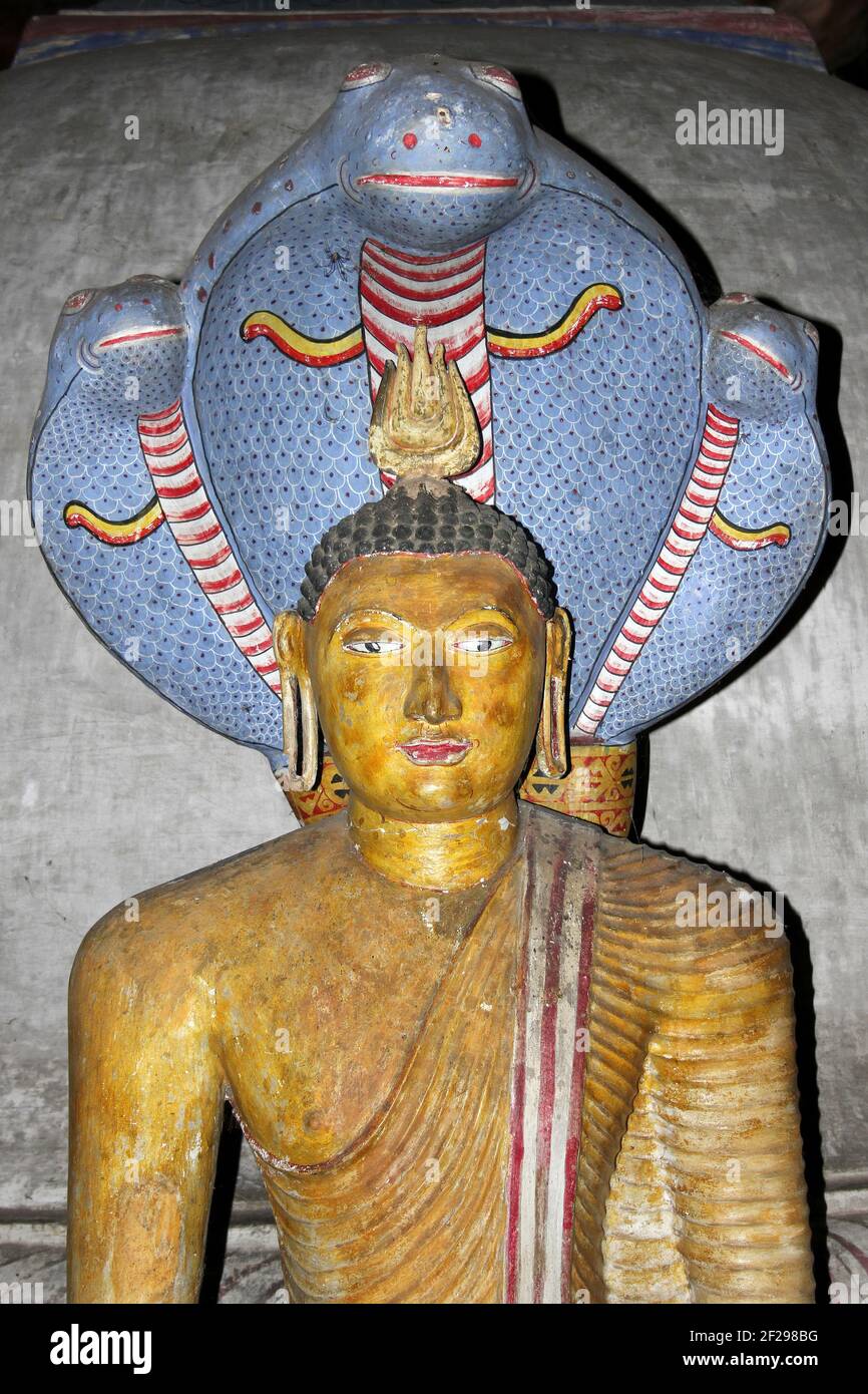 Muchalinda Cobra Hood protegiendo la imagen del Señor Buda en el Templo de la Cueva Maharajalena, Dambulla Foto de stock