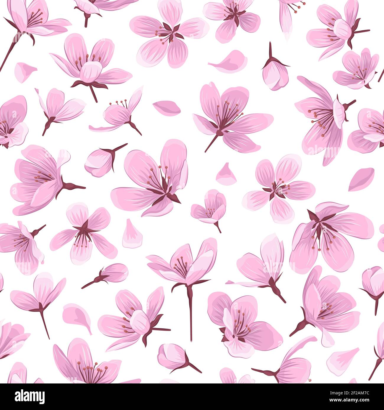 Flores de flor rosa sobre fondo blanco. Suave diseño floral de primavera  sin costuras Imagen Vector de stock - Alamy
