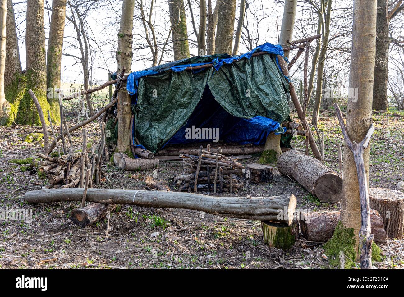 Refugio primitivo de supervivencia en el bosque Fotografía de