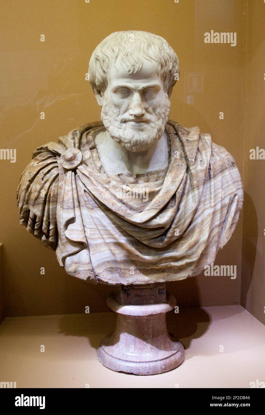 Retrato de Aristóteles, situado en un busto restaurado, el Coliseo  Fotografía de stock - Alamy