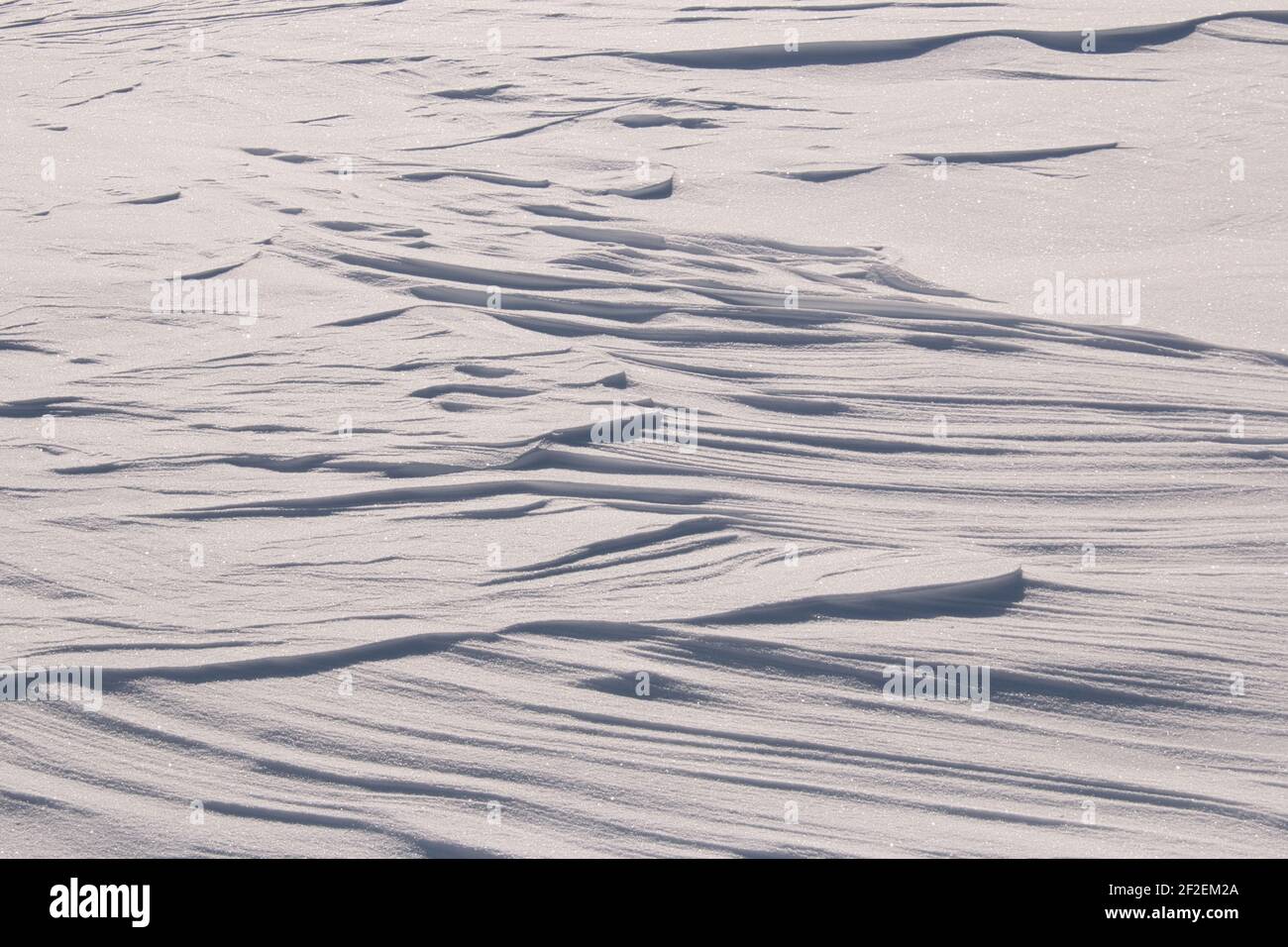 Patrones aleatorios en nieve blanca brillante creada por el viento Foto de stock