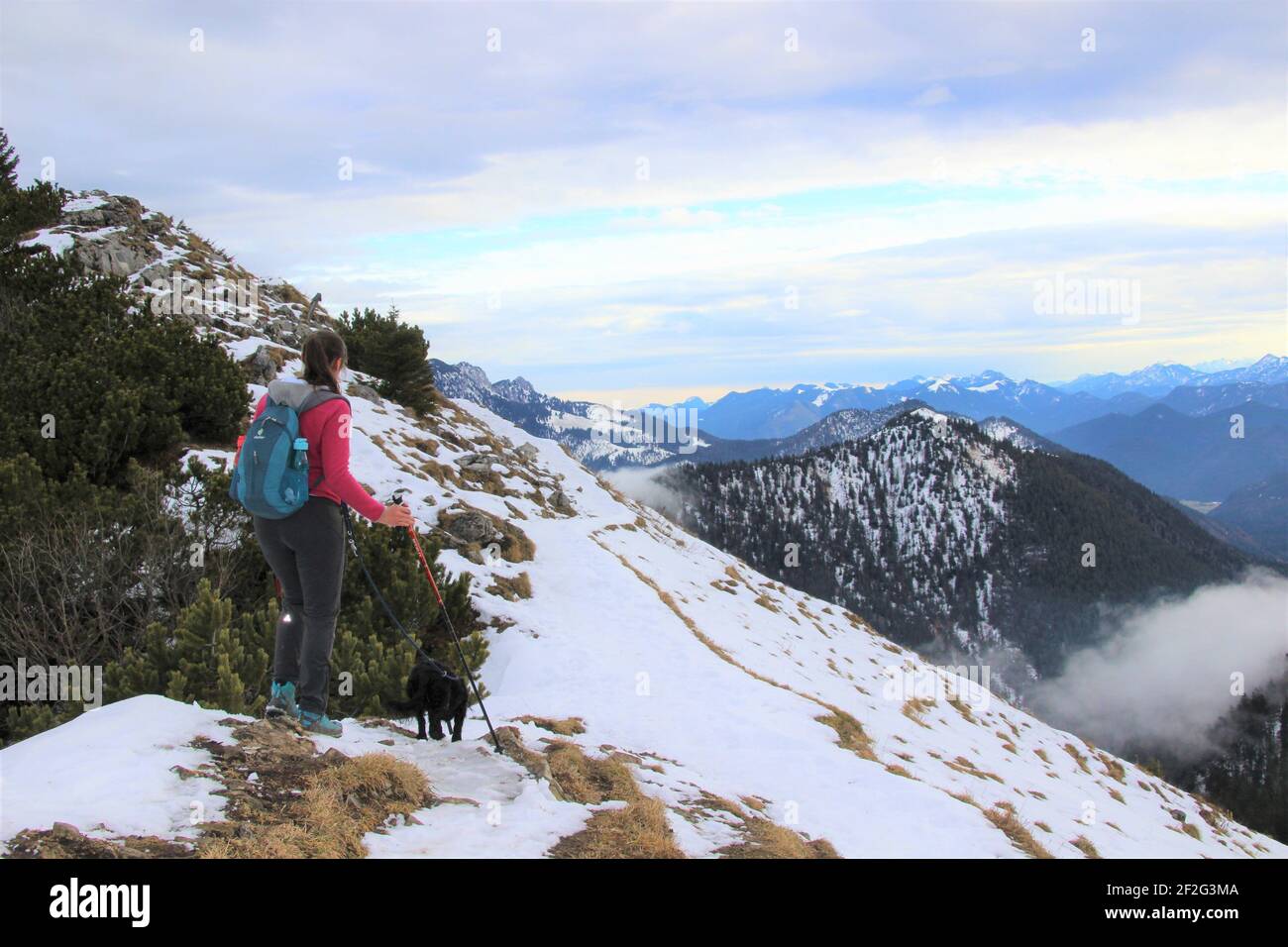 Mujer joven en la caminata con perro a Jochberg, invierno en Walchenseem, los Alpes Bávaros, Alta Baviera, Alemania, montañas Karwendel Foto de stock