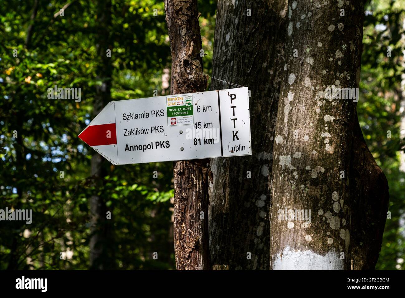 Europa, Polonia, Lublin Voivodeship, Lasy Janowskie / Parque paisajístico de los bosques de Janow Foto de stock