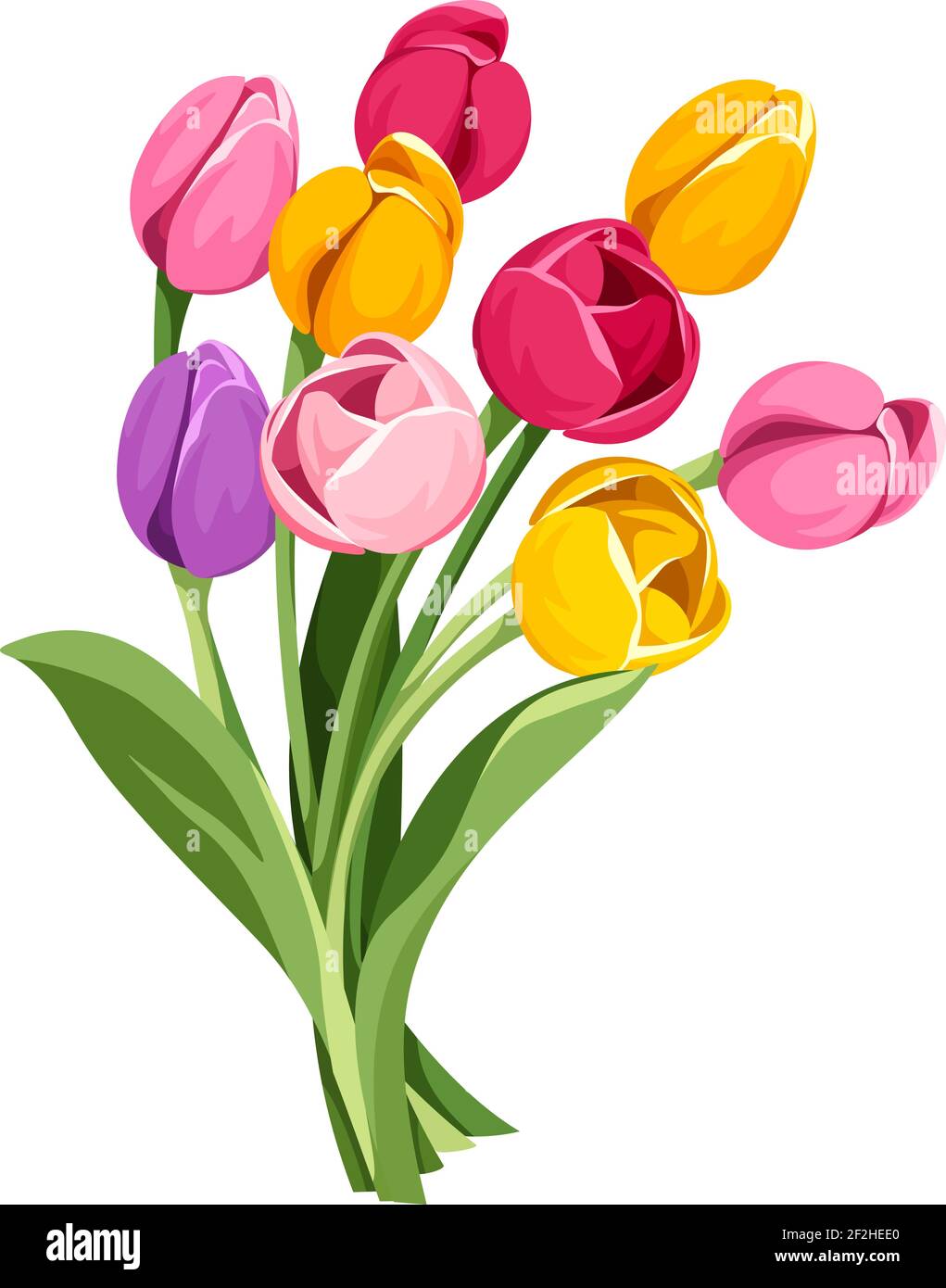 Ramo vectorial de flores de tulipanes rojos, rosados, naranjas, amarillos y púrpura aisladas sobre fondo blanco. Ilustración del Vector