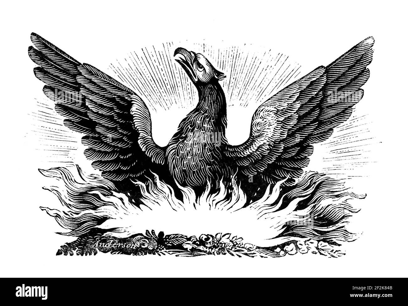 Phoenix. Grabado en madera del pájaro mítico, siglo 19th. Foto de stock