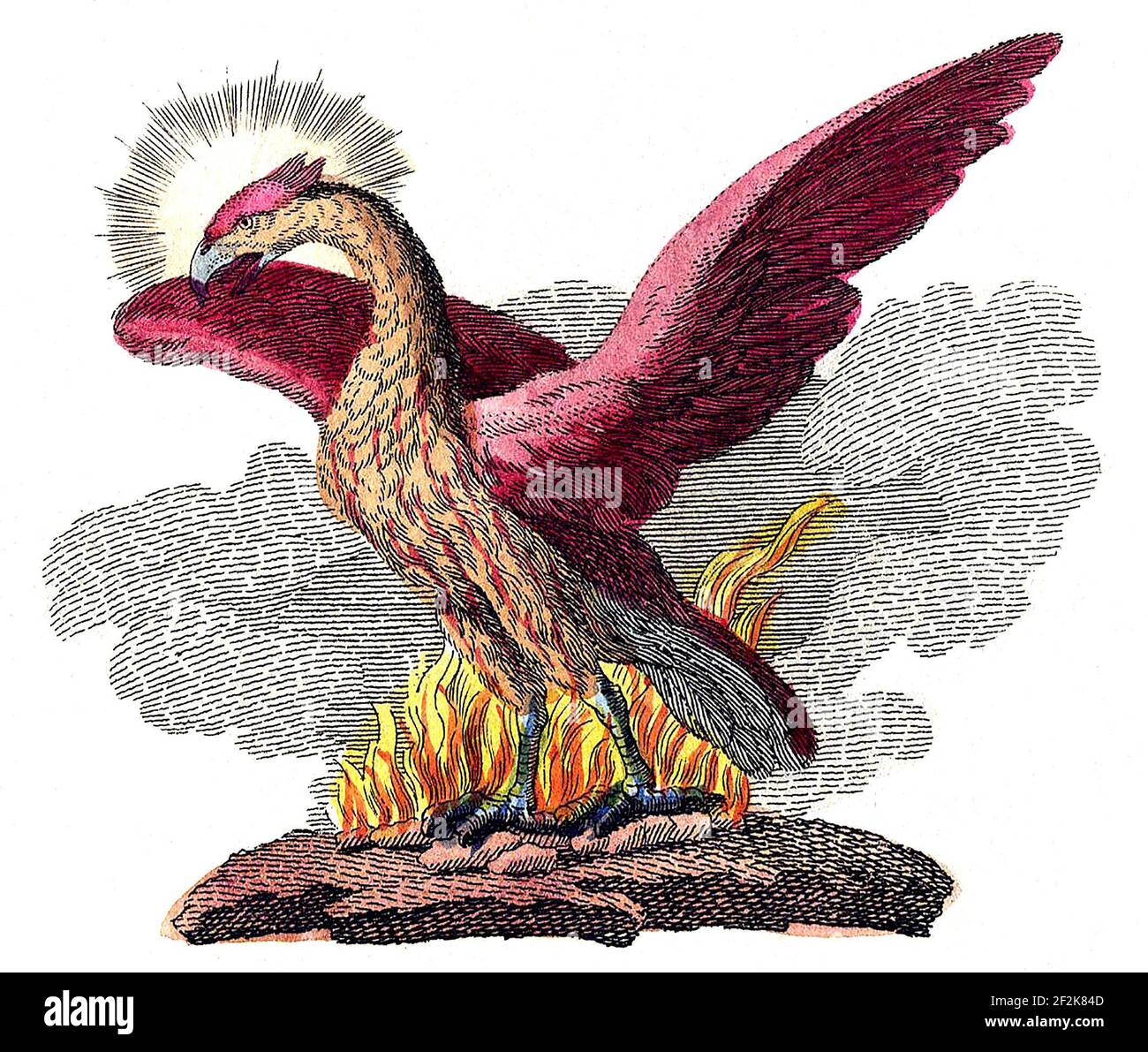 Phoenix. Ilustración del pájaro mítico de un libro para niños, 1806 Foto de stock
