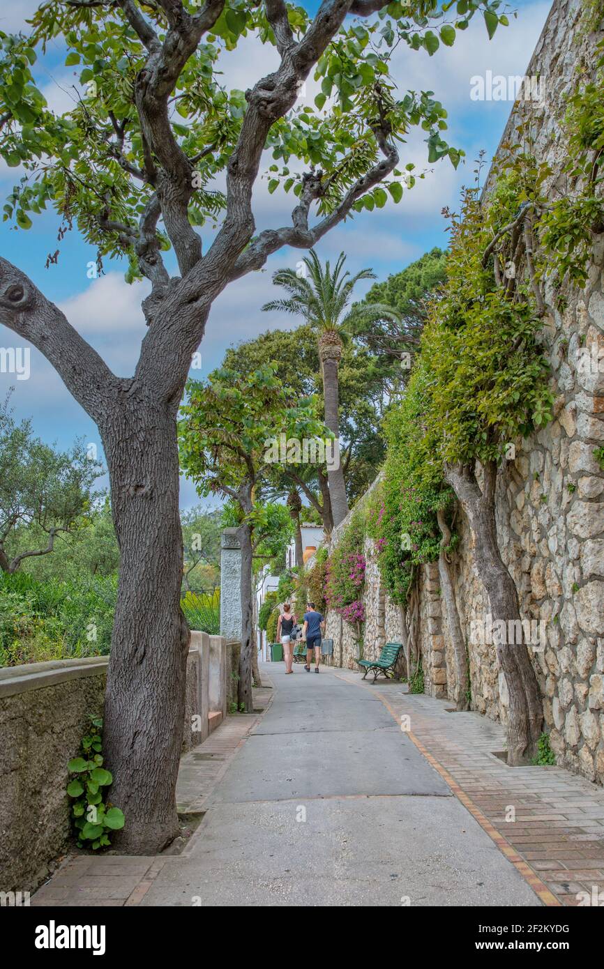 Pareja de turistas caminando por el hermoso camino estrecho con plantas tropicales y flores rojas, mar Tirreno, isla de Capri, Italia Foto de stock
