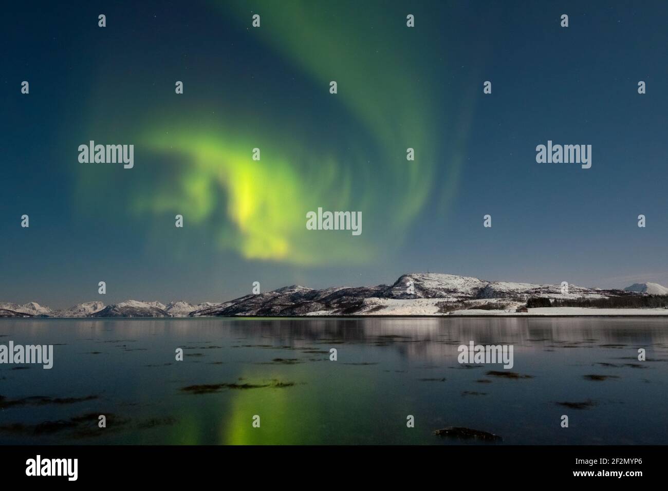 Aurora boreal, Ártico, Skjervøy, Noruega, Europa del Norte Foto de stock