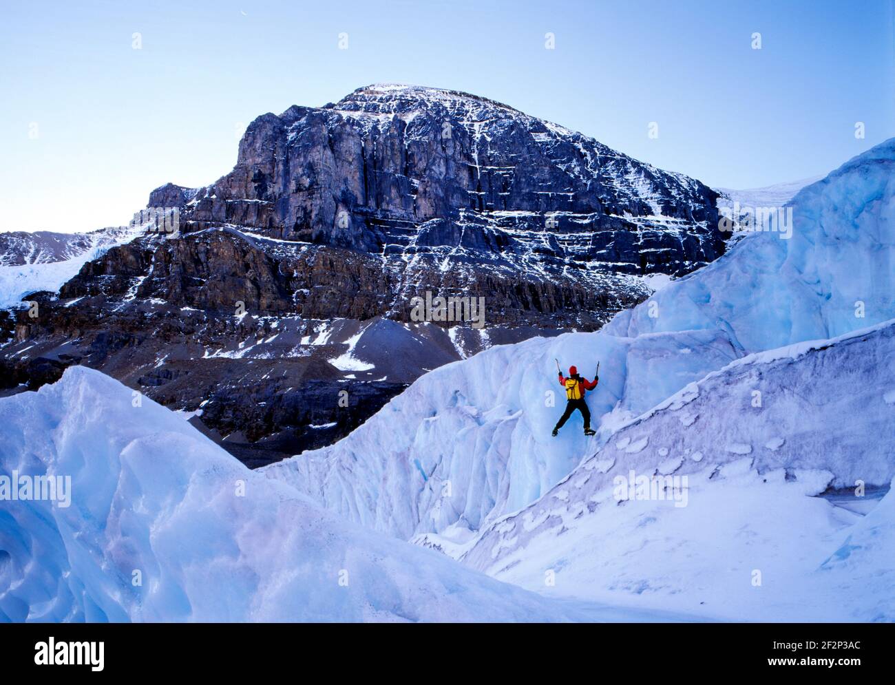 Escalador en el campo de hielo de Columbia (325 kilómetros cuadrados), Parque Nacional Jasper, Alberta, Canadá Foto de stock