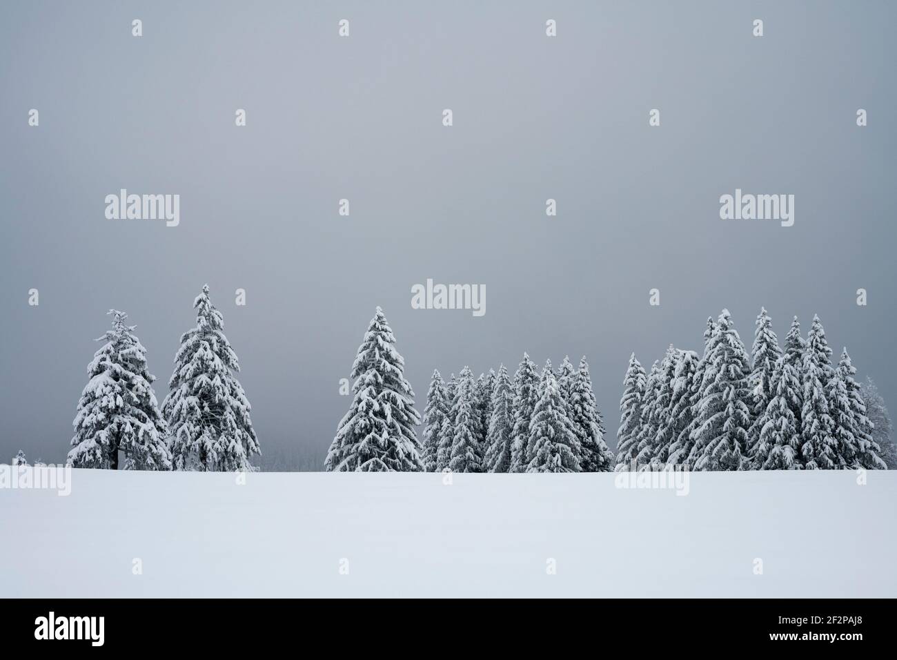 Europa, Suiza, Cantón Zug, el estado de ánimo de invierno en el Ratenpass Foto de stock