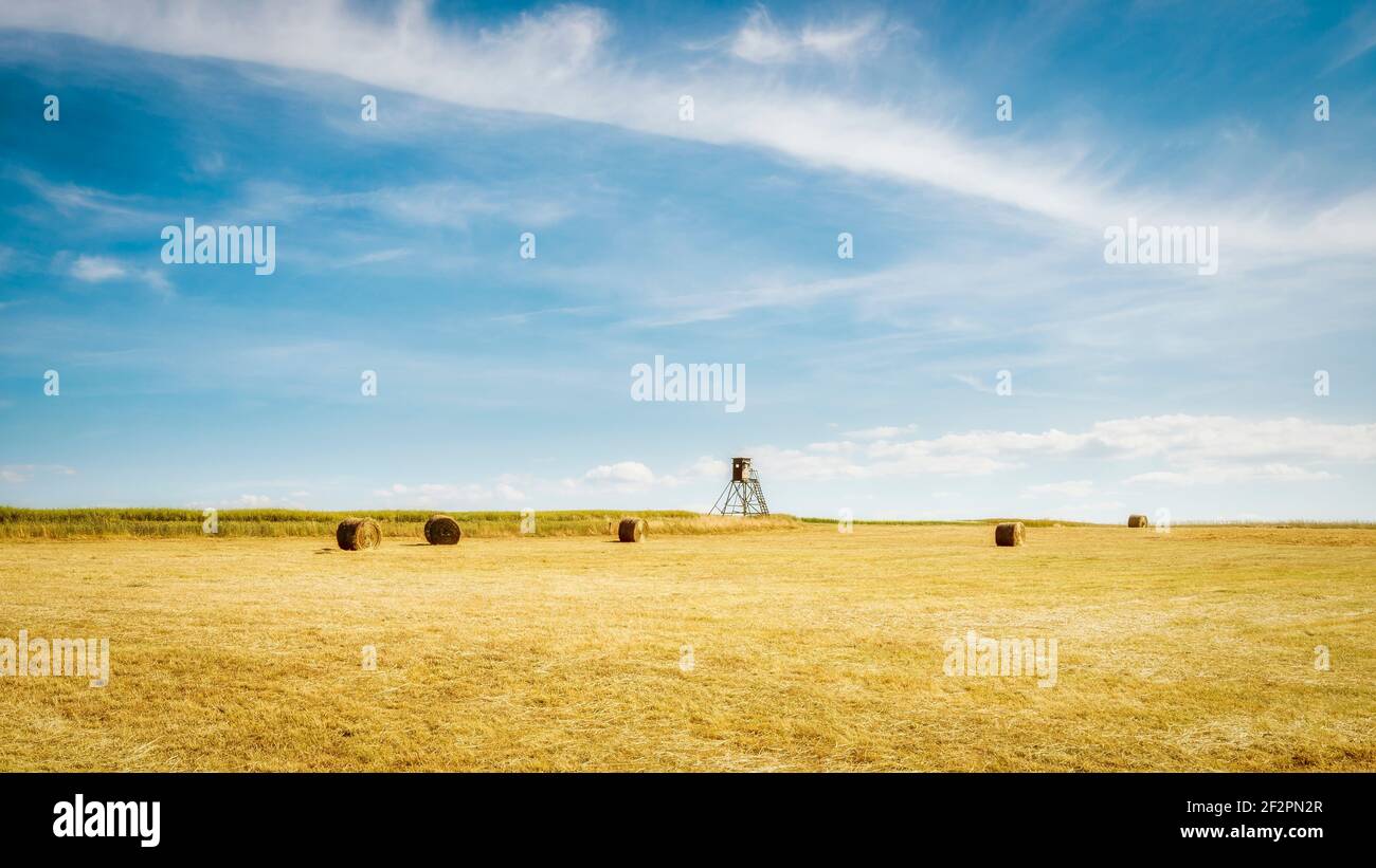 tiempo alto campo