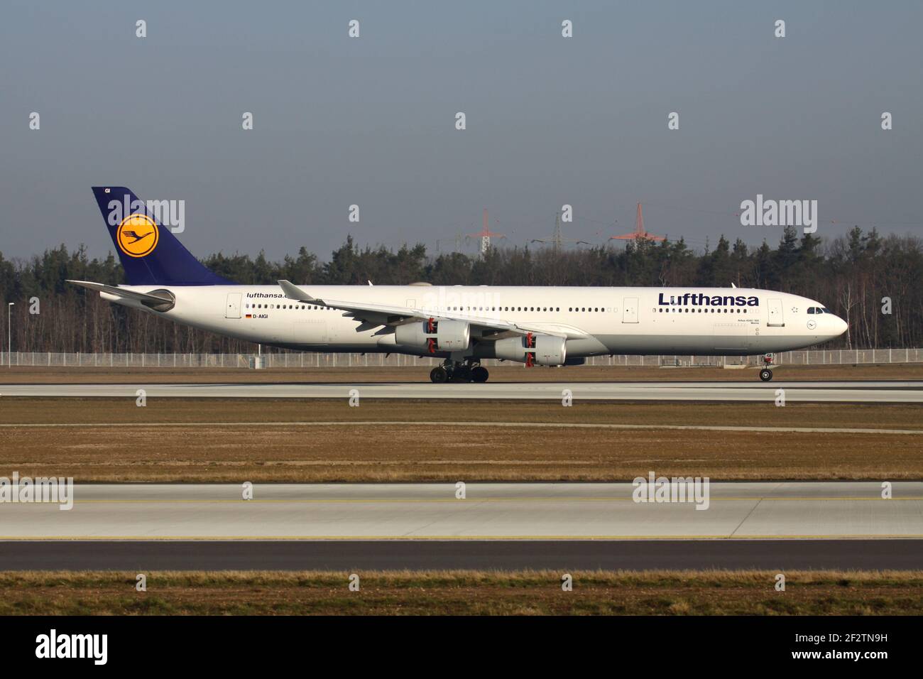 El Airbus a 340-300 de la Lufthansa alemana con registro D-AIGI acaba de aterrizar en la pista 07L del aeropuerto de Frankfurt. Foto de stock