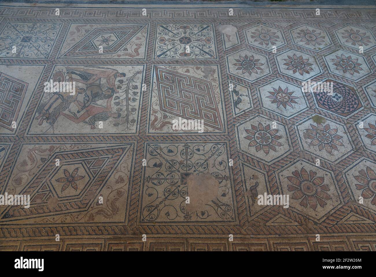 El castigo de los mosaicos del piso de Dirce en Pula, Croacia Foto de stock
