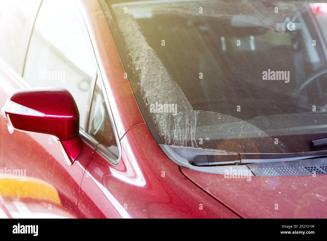 exterior del retrovisor exterior cubierto con una capa de polvo primer  plano de un coche rojo seco y sucio con hojas de goma en los  limpiaparabrisas, nadie Fotografía de stock - Alamy
