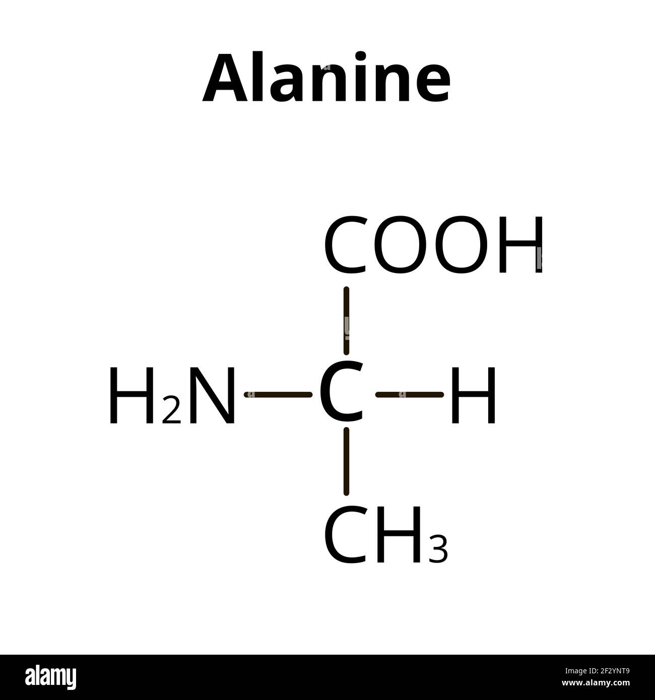 La alanina es un aminoácido. Fórmula molecular química aminoácido de alanina. Ilustración