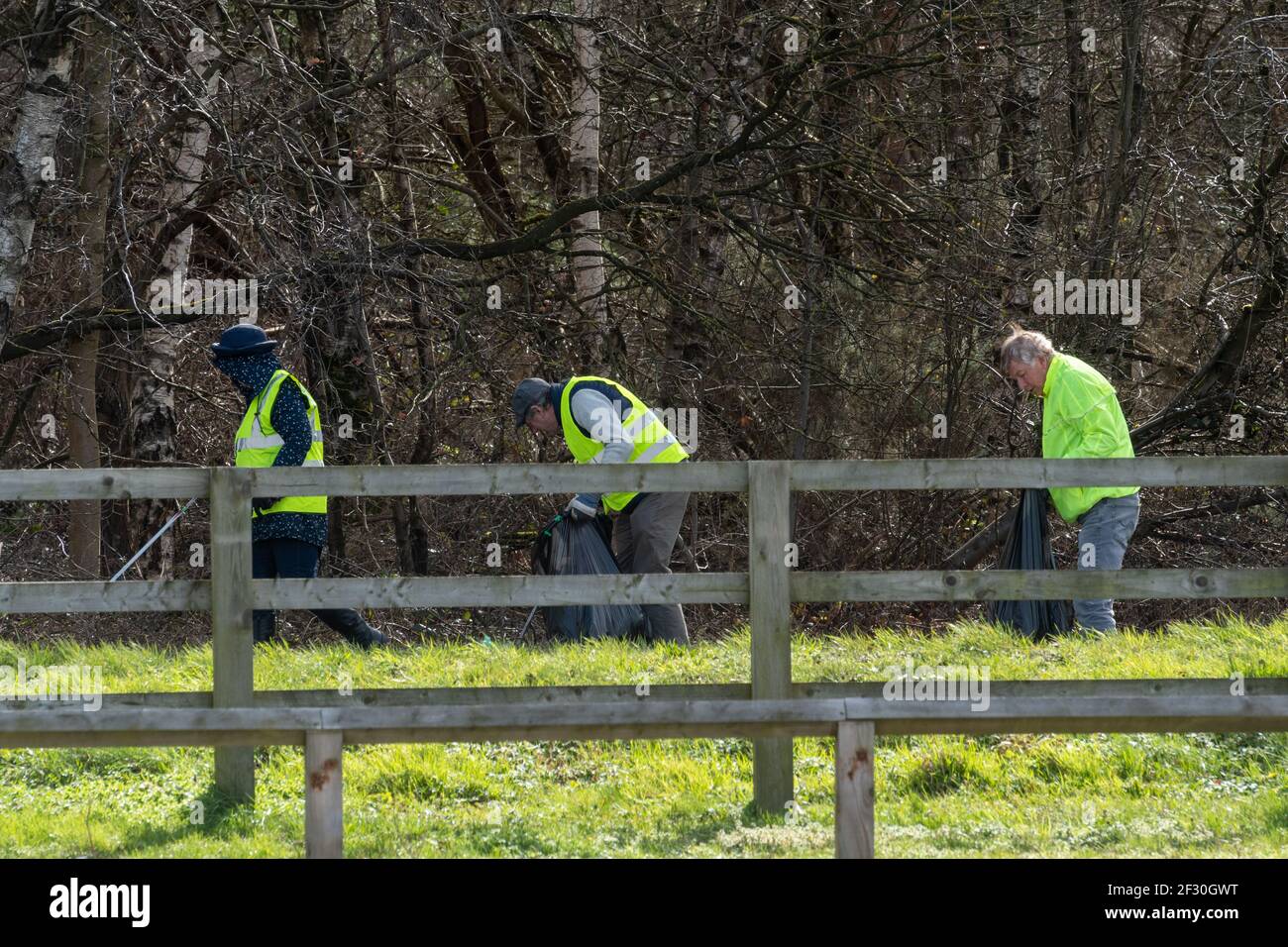 Los voluntarios pican basura en el campo usando ropa de alta visibilidad, Reino Unido. Enyesando verjas al borde de la carretera. Foto de stock