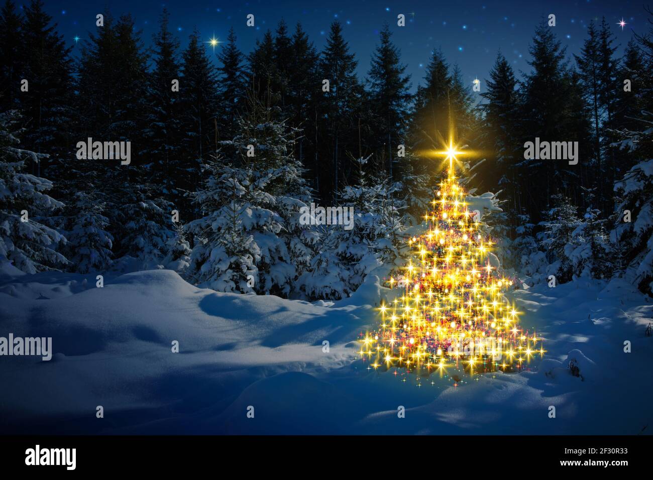 Árbol de Navidad en el bosque de invierno y estrellas cielo. Tarjeta de  Navidad Fotografía de stock - Alamy