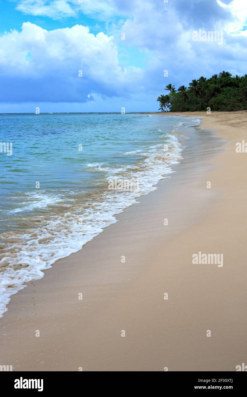Mar Caribe y palmeras verdes en la playa tropical blanca. Foto de stock