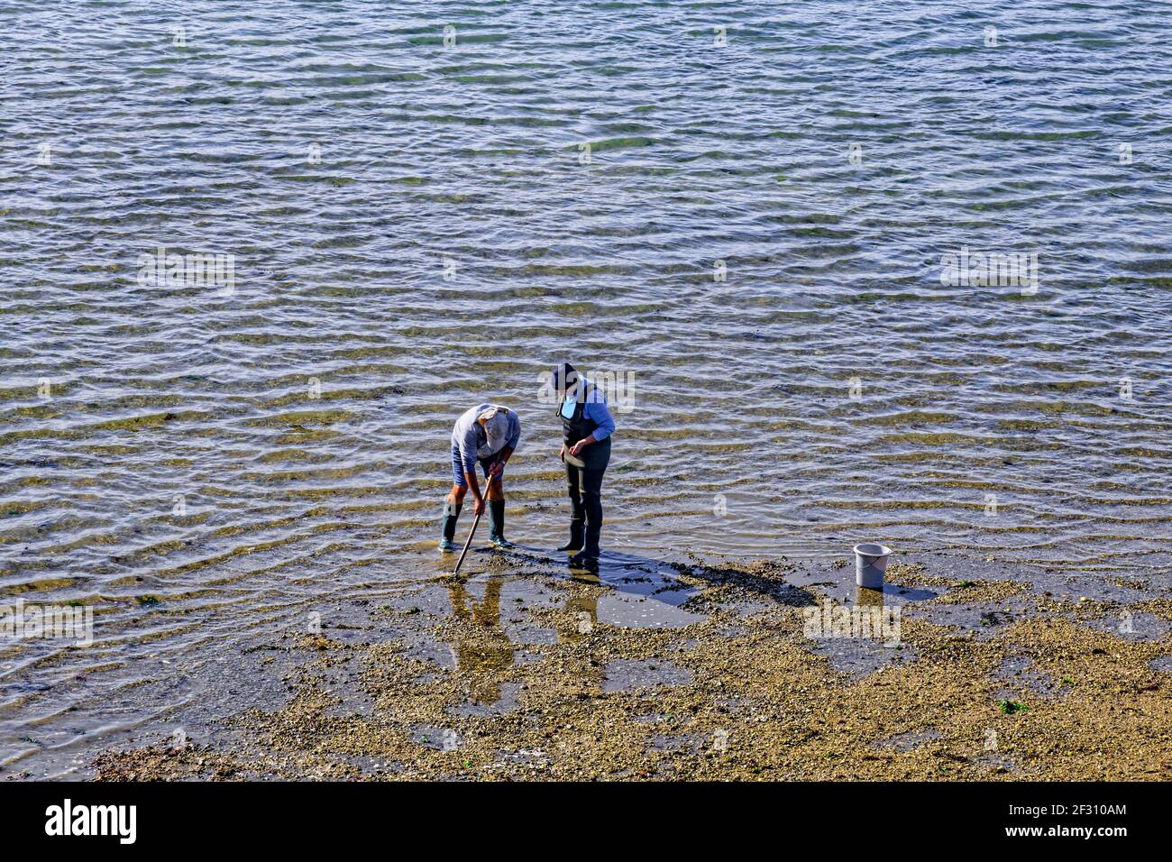 Pesca a pie en Bretaña Foto de stock